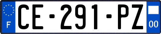 CE-291-PZ