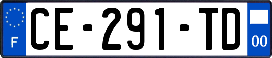 CE-291-TD