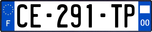 CE-291-TP