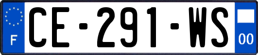 CE-291-WS