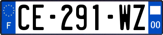 CE-291-WZ