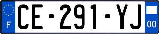 CE-291-YJ