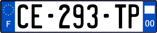 CE-293-TP