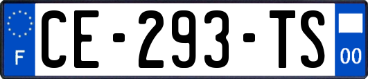 CE-293-TS