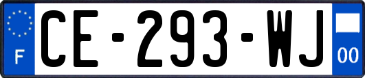 CE-293-WJ