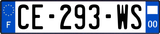 CE-293-WS