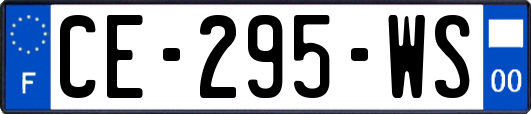 CE-295-WS