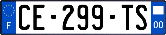 CE-299-TS