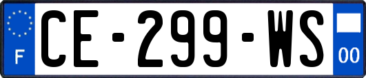 CE-299-WS