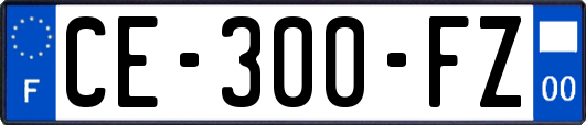 CE-300-FZ
