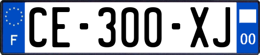 CE-300-XJ