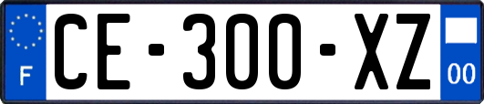 CE-300-XZ