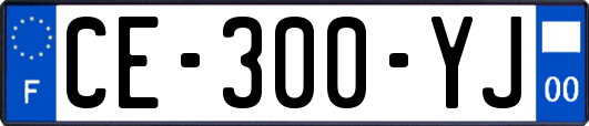 CE-300-YJ