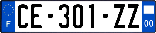 CE-301-ZZ