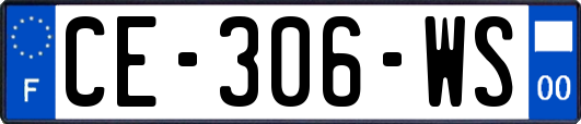 CE-306-WS