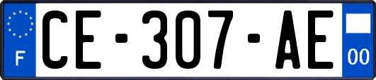 CE-307-AE