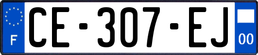 CE-307-EJ