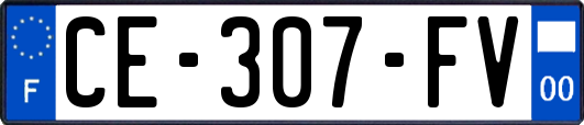 CE-307-FV