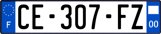 CE-307-FZ