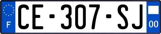 CE-307-SJ