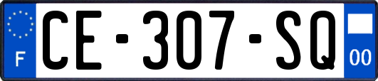 CE-307-SQ