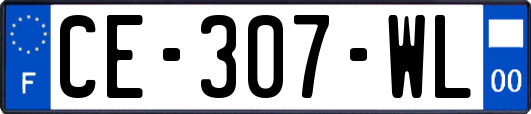 CE-307-WL