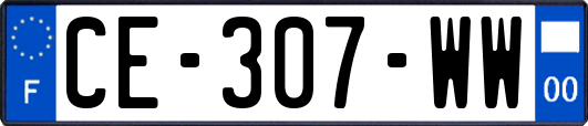 CE-307-WW