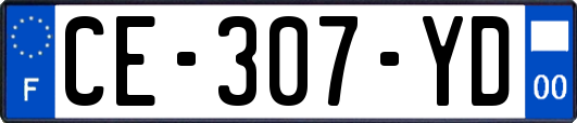 CE-307-YD