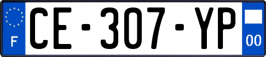CE-307-YP