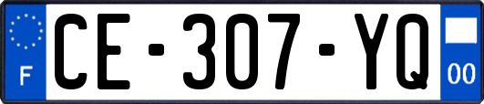 CE-307-YQ