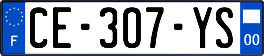 CE-307-YS