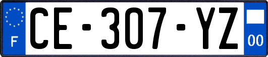 CE-307-YZ