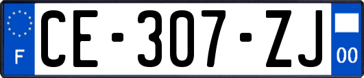 CE-307-ZJ