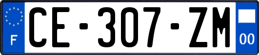 CE-307-ZM