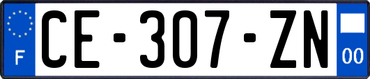 CE-307-ZN