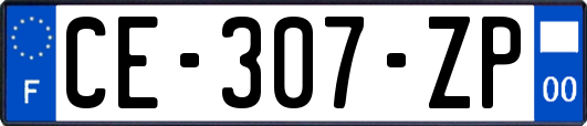 CE-307-ZP