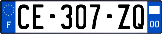 CE-307-ZQ