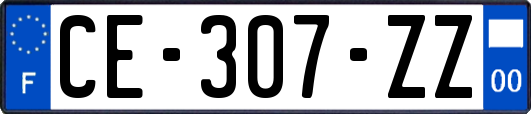 CE-307-ZZ