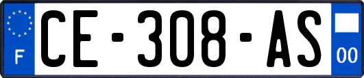 CE-308-AS