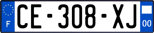 CE-308-XJ