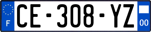 CE-308-YZ