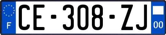 CE-308-ZJ