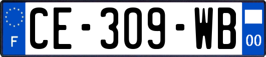 CE-309-WB