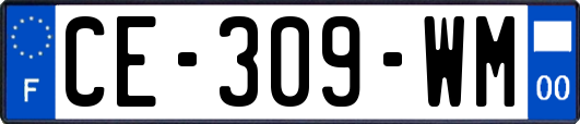 CE-309-WM