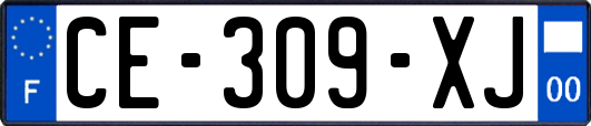 CE-309-XJ