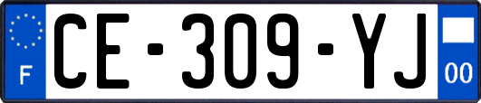 CE-309-YJ