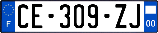 CE-309-ZJ