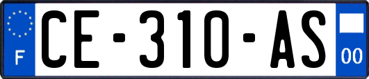 CE-310-AS