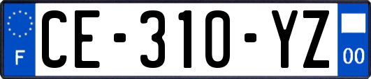 CE-310-YZ