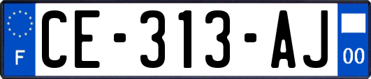 CE-313-AJ